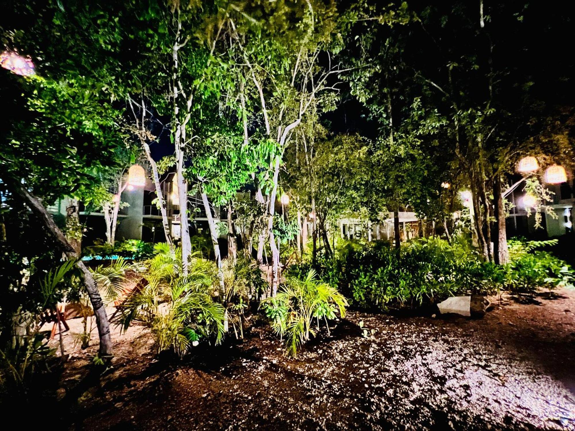 504 Seremonia Selva Private Pool New King Bed Wifi Apartment Tulum